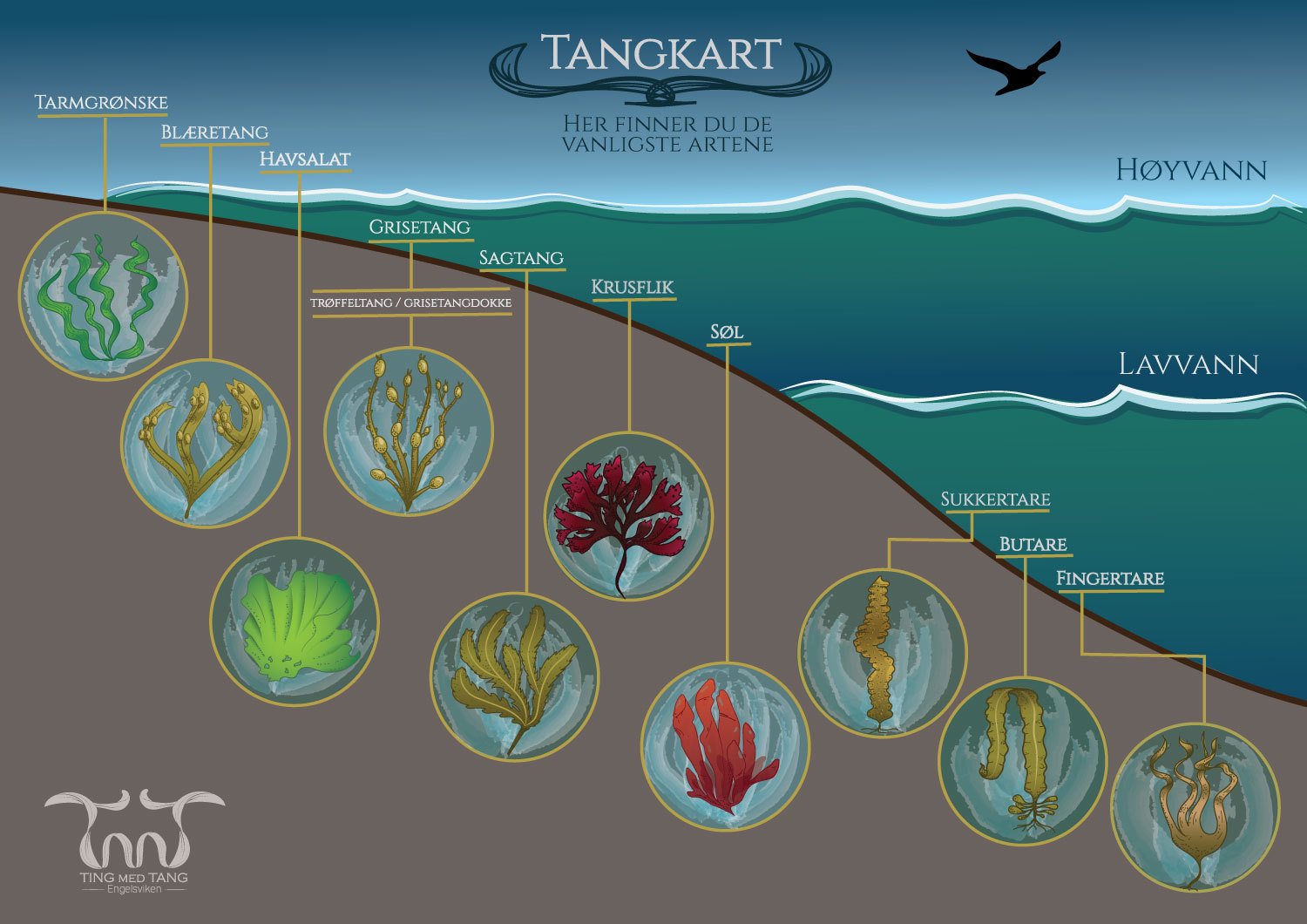 Tangkart