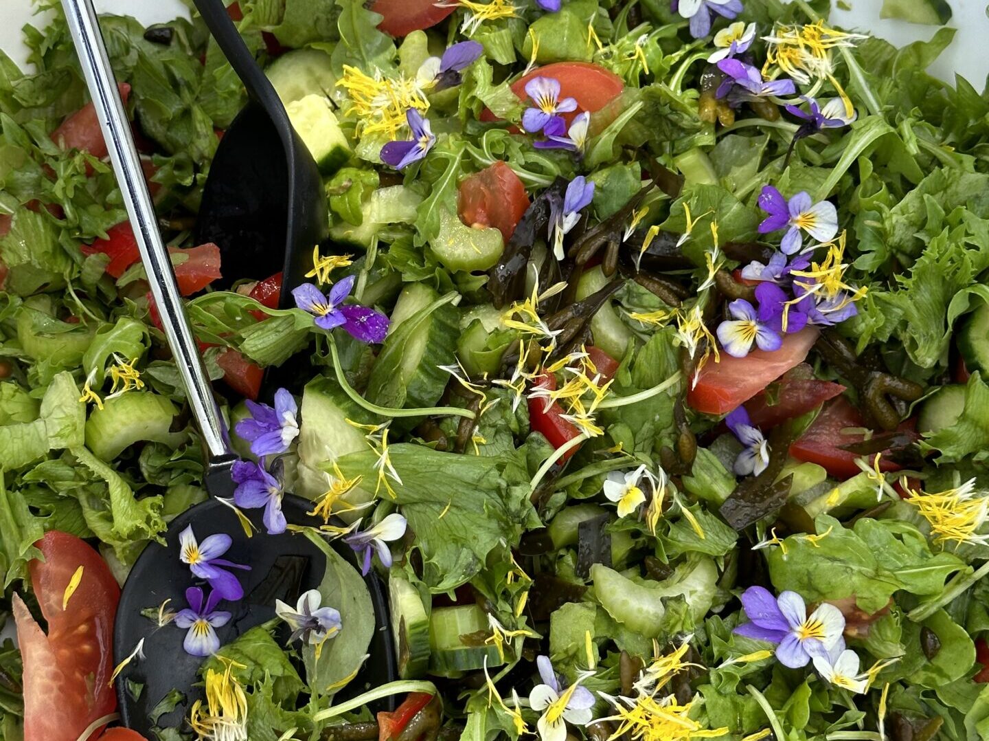Salat med fersk tang og nyttevekster
